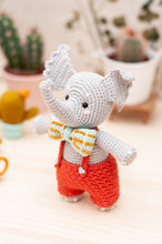 Cargar imagen en el visor de la galería, Pack de ovillos para Elifante y los cactus - Amigurumis e Imaginancias
