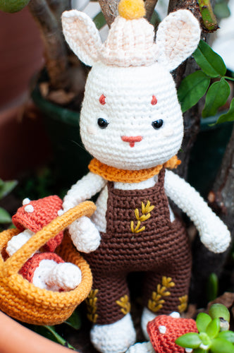 Pack de ovillos para Lavin Lapin - Amigurumis e Imaginancias