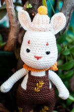 Cargar imagen en el visor de la galería, Pack de ovillos para Lavin Lapin - Amigurumis e Imaginancias