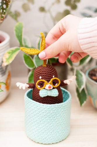 Pack de ovillos para Lope Miope - Amigurumis e Imaginancias